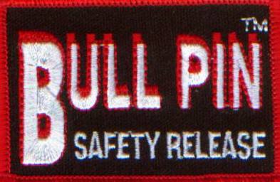 BullPin Logo.JPG (21016 bytes)